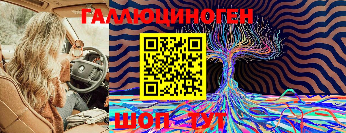 Гусь-Хрустальный  Псилоцибиновые грибы Cubensis  Вход с VPN  где купить наркотик  Галлюциногенные грибы GOLDEN TEACHER 